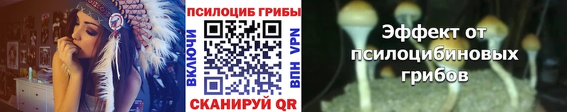 Псилоцибиновые грибы ЛСД  цены   Инсар 